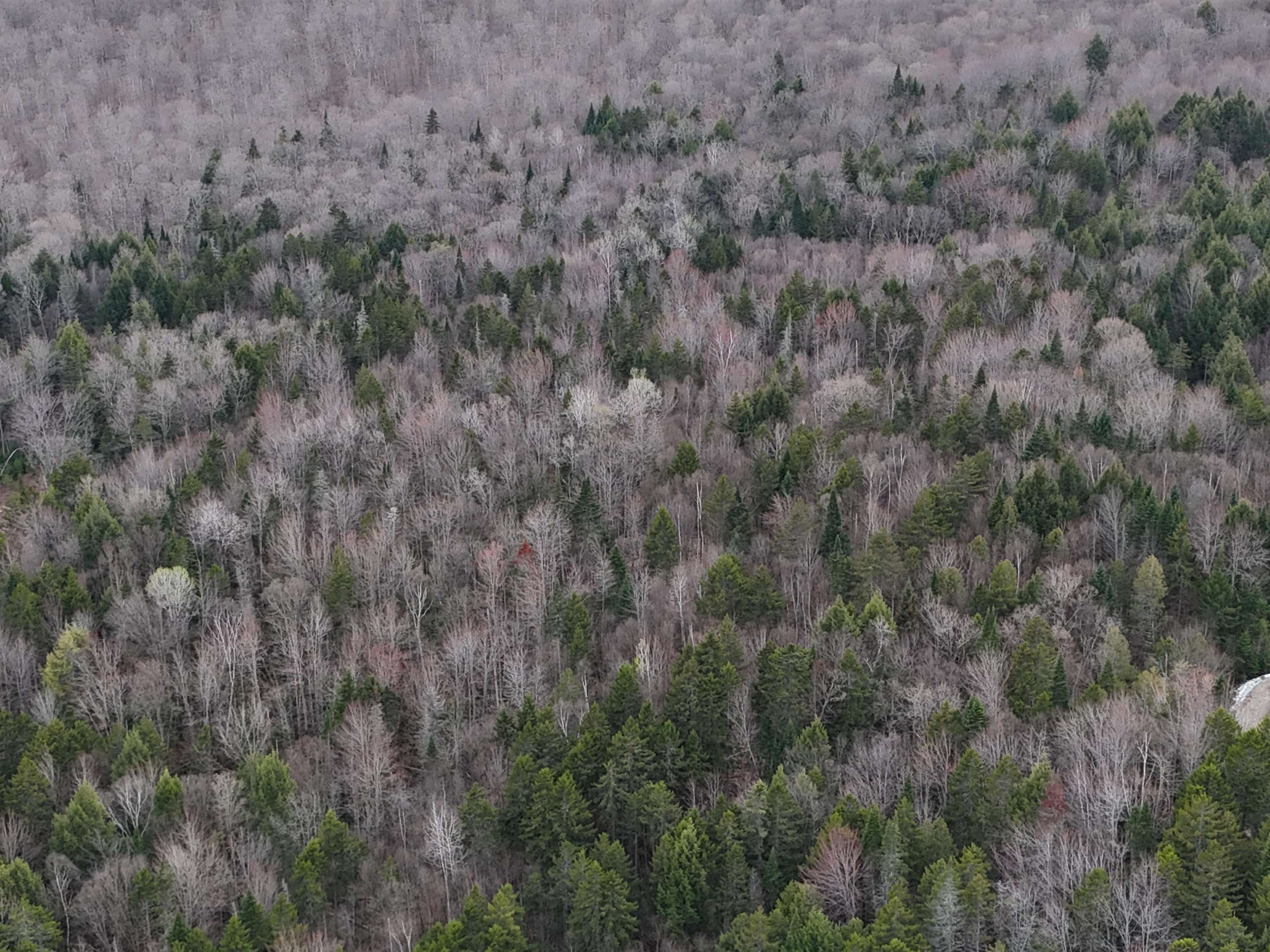 0 Pleasant Street Island Pond, VT 05846 - Photo 8 of 38