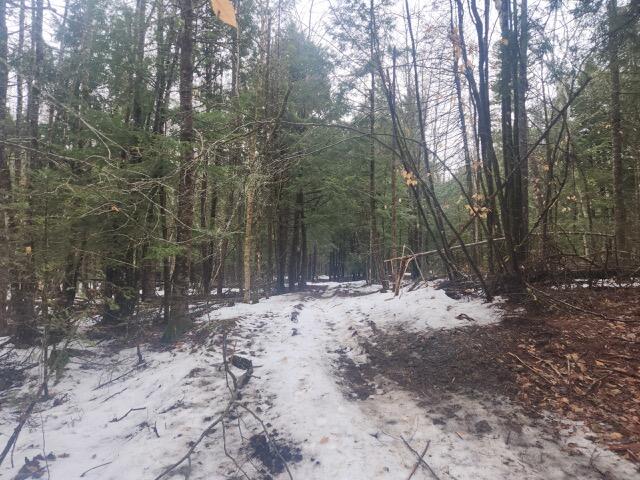 1-5 Spring Hill Road Palmyra, ME 04965 - Photo 14 of 31 Resized_20241231_121227_1735746831744