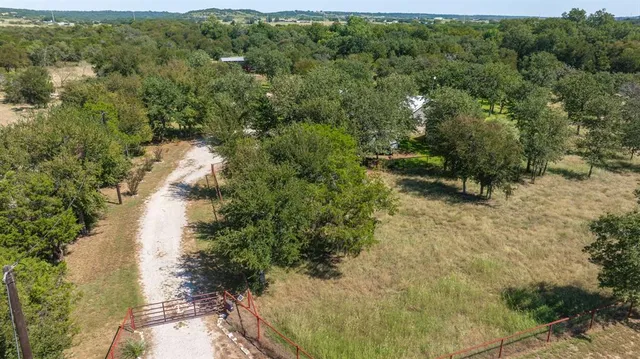 a view of a forest with a lake view