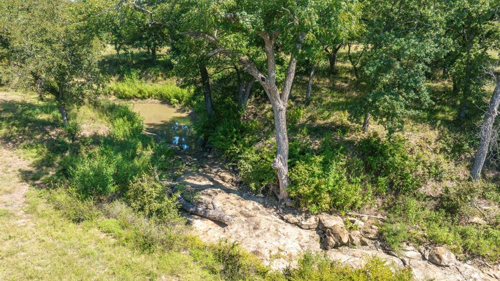 1071 Grimes Road Mineral Wells, TX 76067 - Photo 20 of 25 a view of a garden