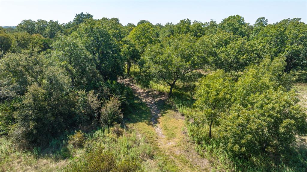 1071 Grimes Road Mineral Wells, TX 76067 - Photo 23 of 25 a view of a lush green forest with lawn chairs