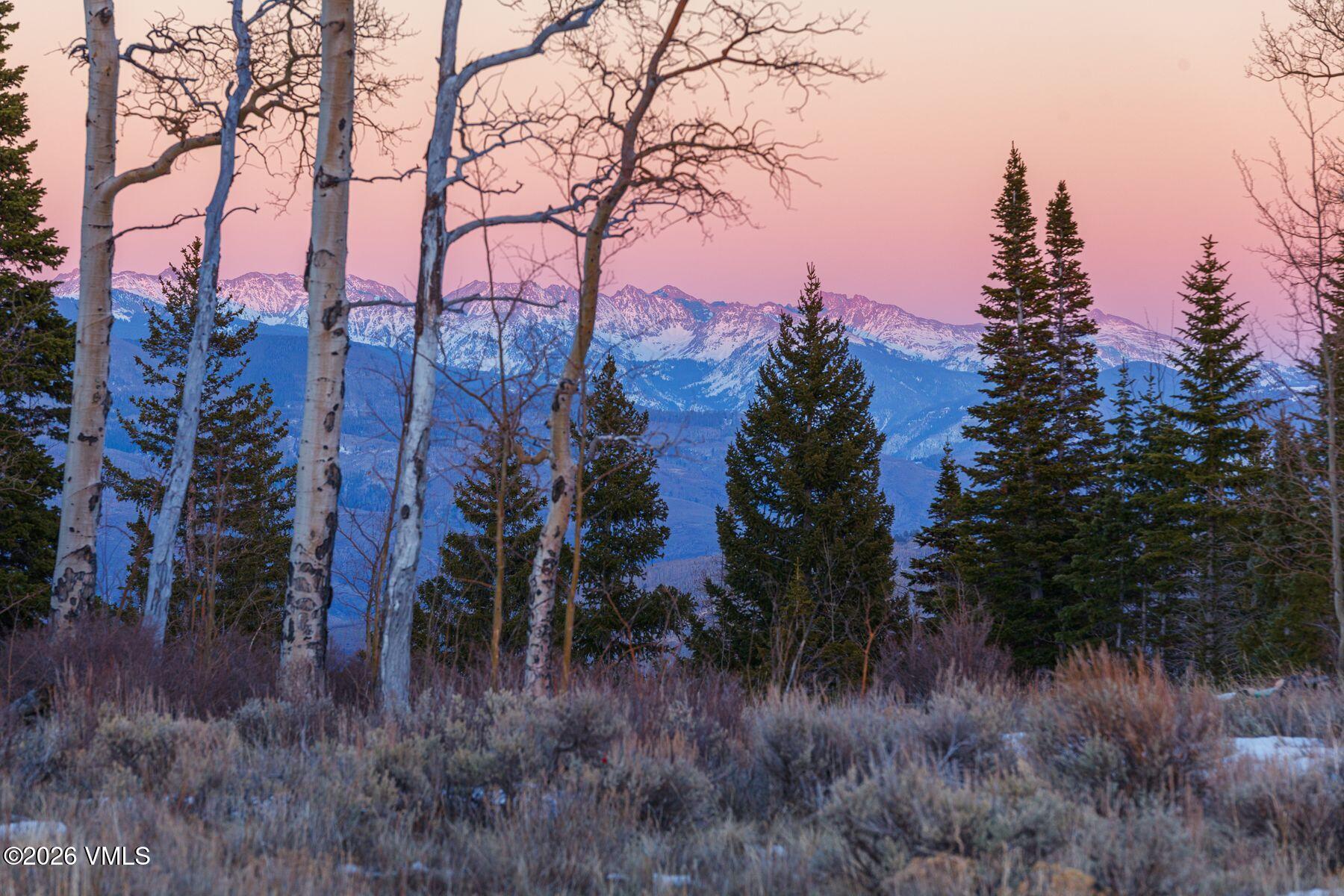 1279 Gore Trail Edwards, CO 81632 - Photo 18 of 18 a view of a yard in a forest