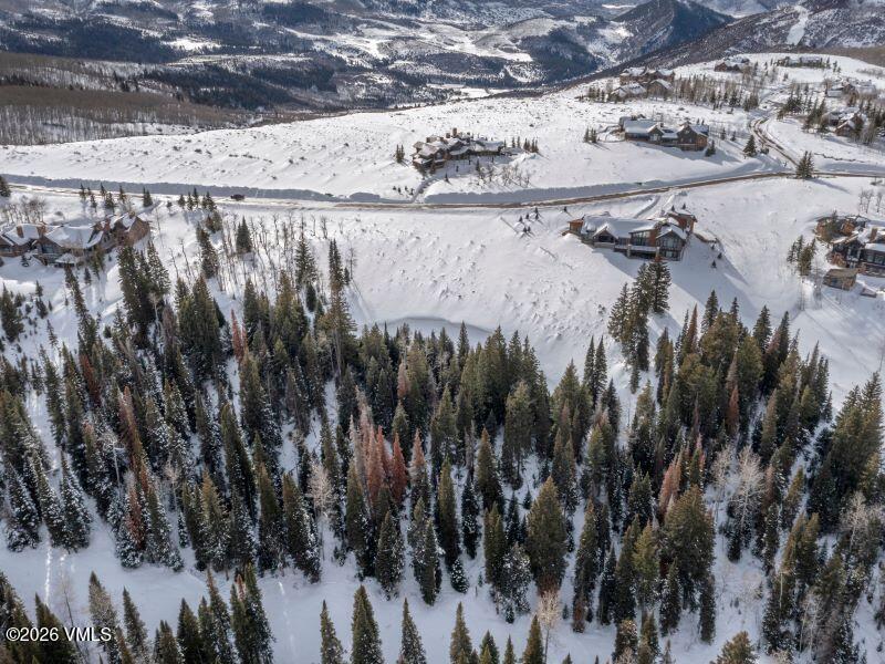 1279 Gore Trail Edwards, CO 81632 - Photo 5 of 6 a view of a bunch of trees