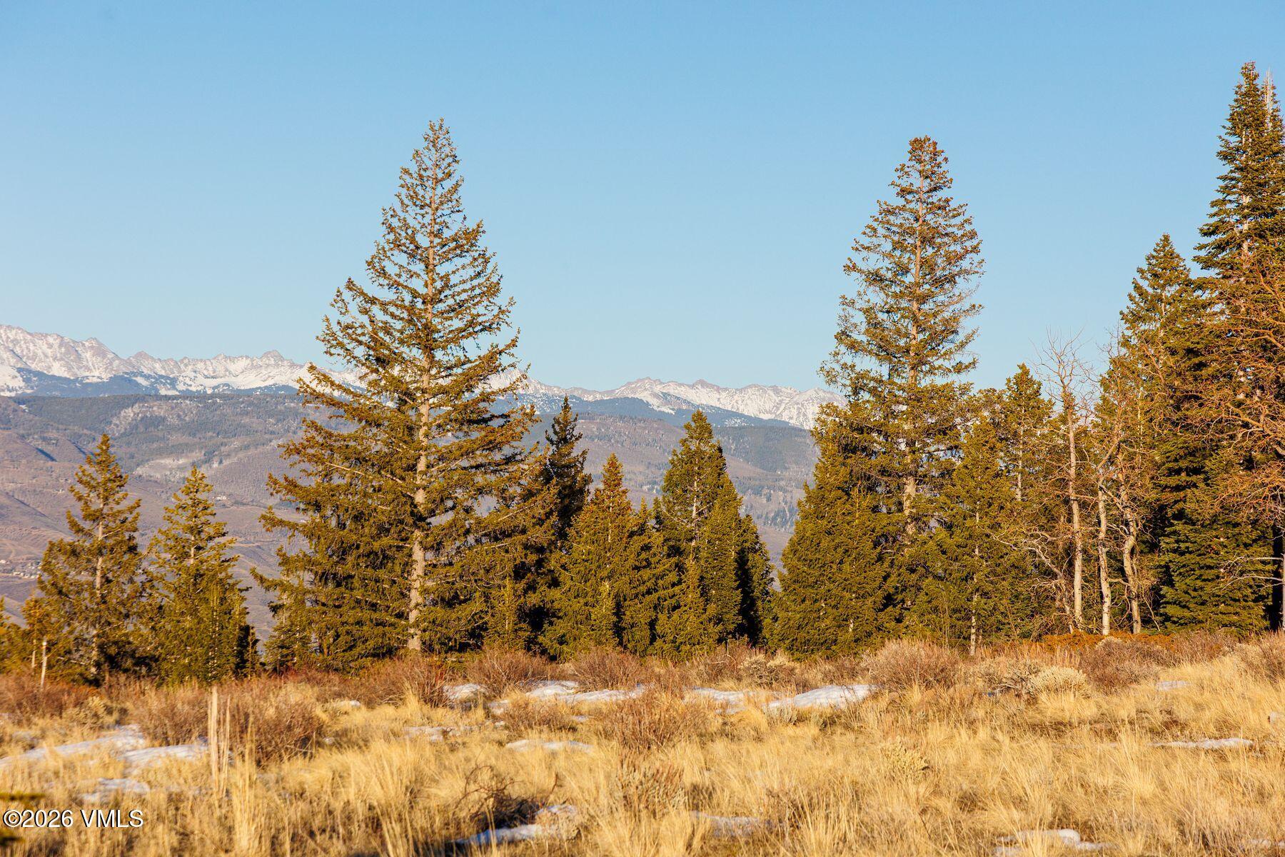 1279 Gore Trail Edwards, CO 81632 - Photo 6 of 18 a view of a yard covered with snow