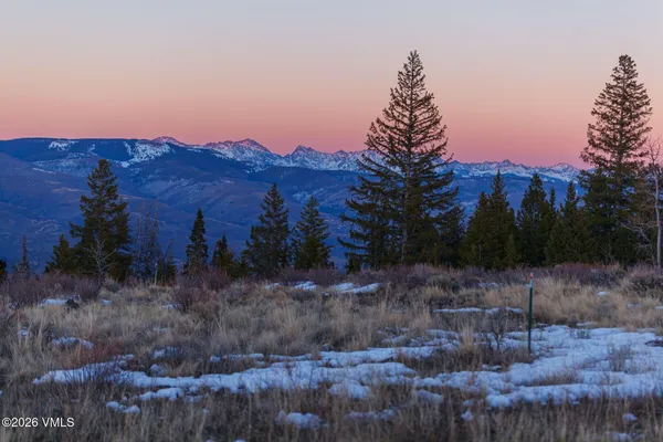 a view of outdoor space with signage and flags