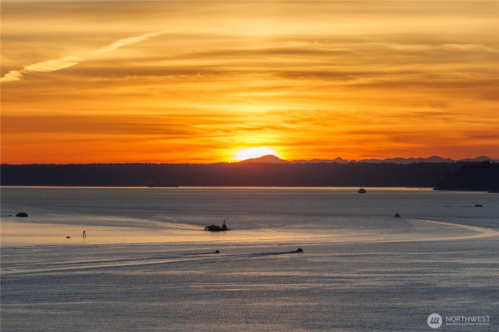 2201 3rd Avenue, Unit 2003 Seattle, WA 98121 - Photo 3 of 40