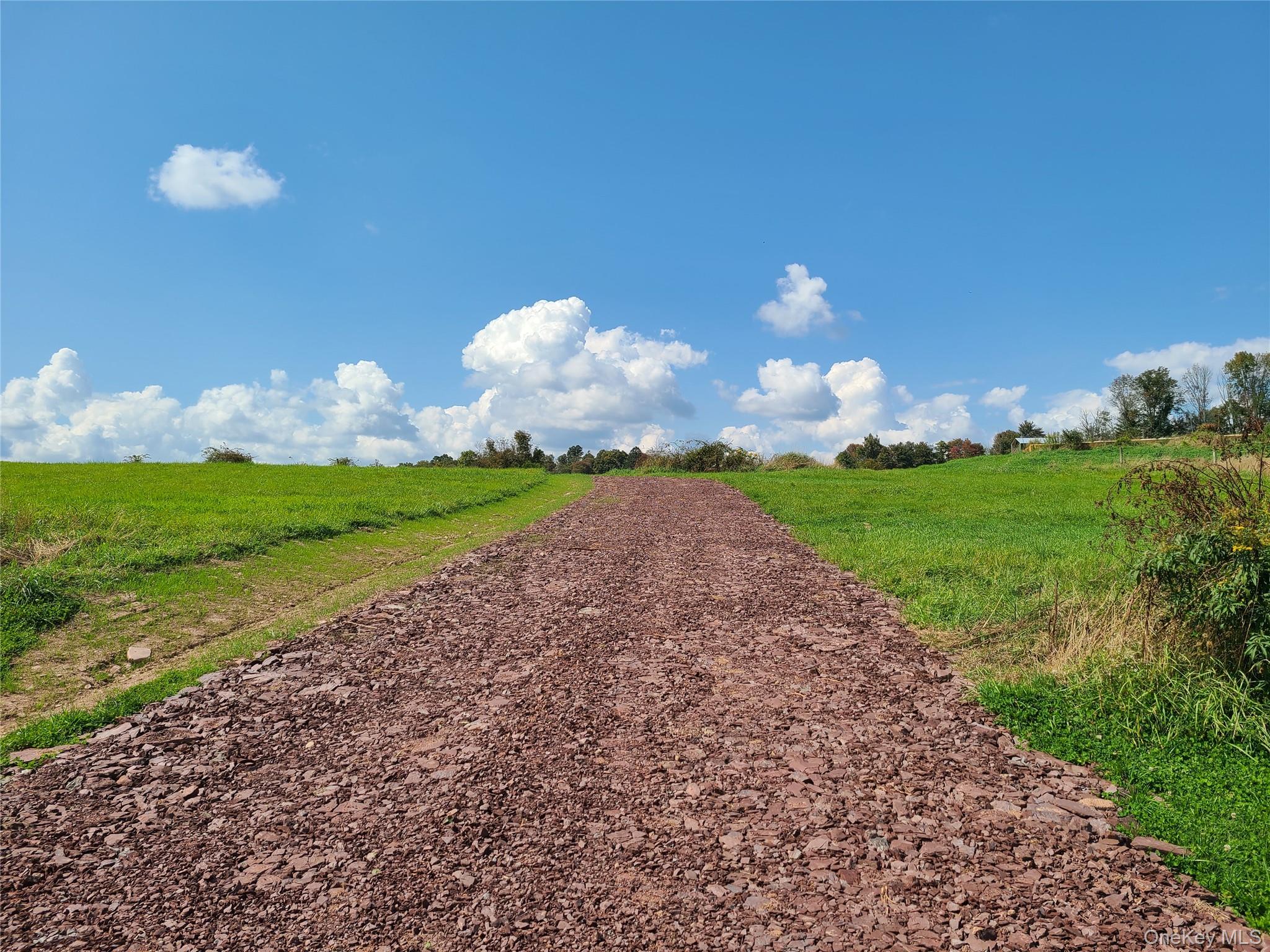 356 Gabel Road Callicoon, NY 12723 - Photo 13 of 49 Private Road - Long Farm Way is in