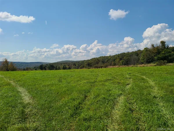 a view of a big yard with lots of green space