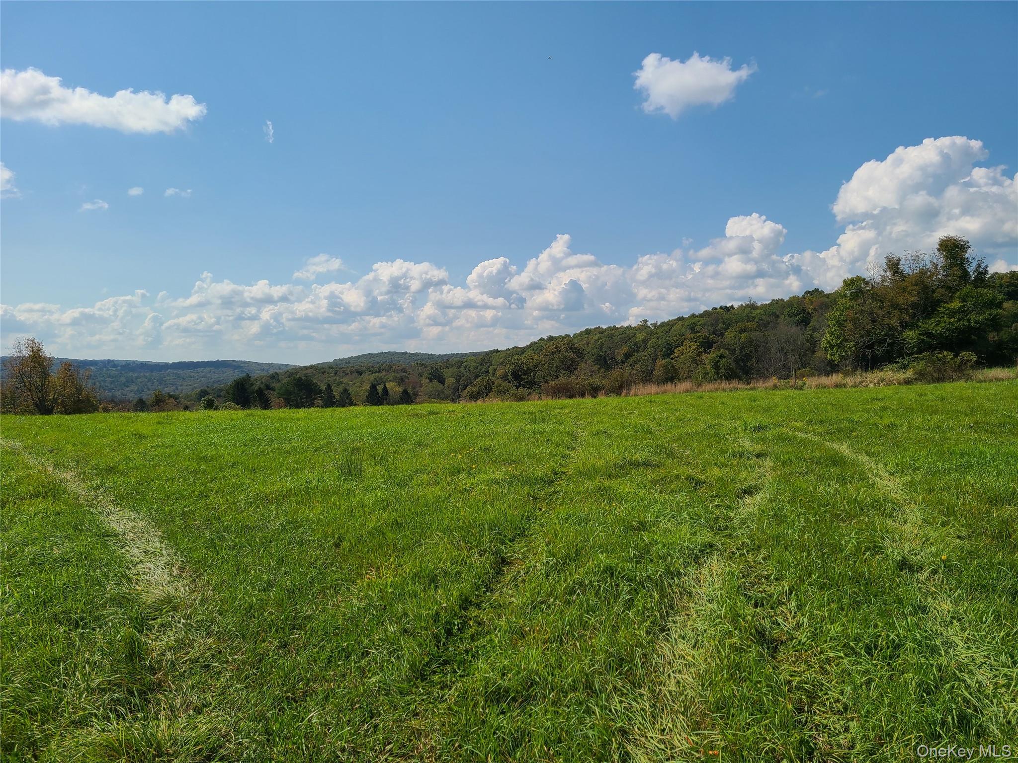 356 Gabel Road Callicoon, NY 12723 - Photo 15 of 49 View of mountain feature featuring a rural view