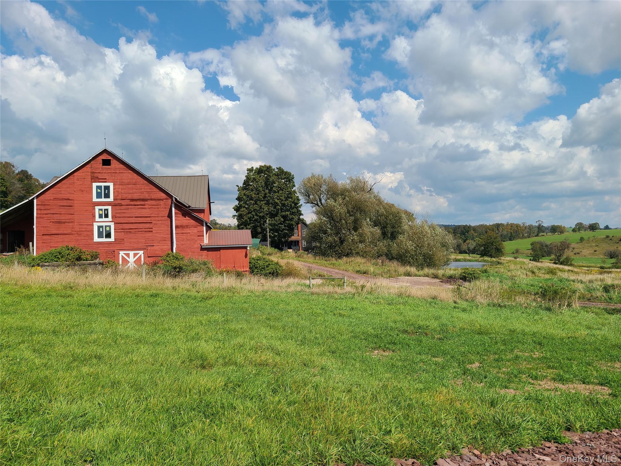 356 Gabel Road Callicoon, NY 12723 - Photo 19 of 49 View of yard with a rural view and an outbuilding