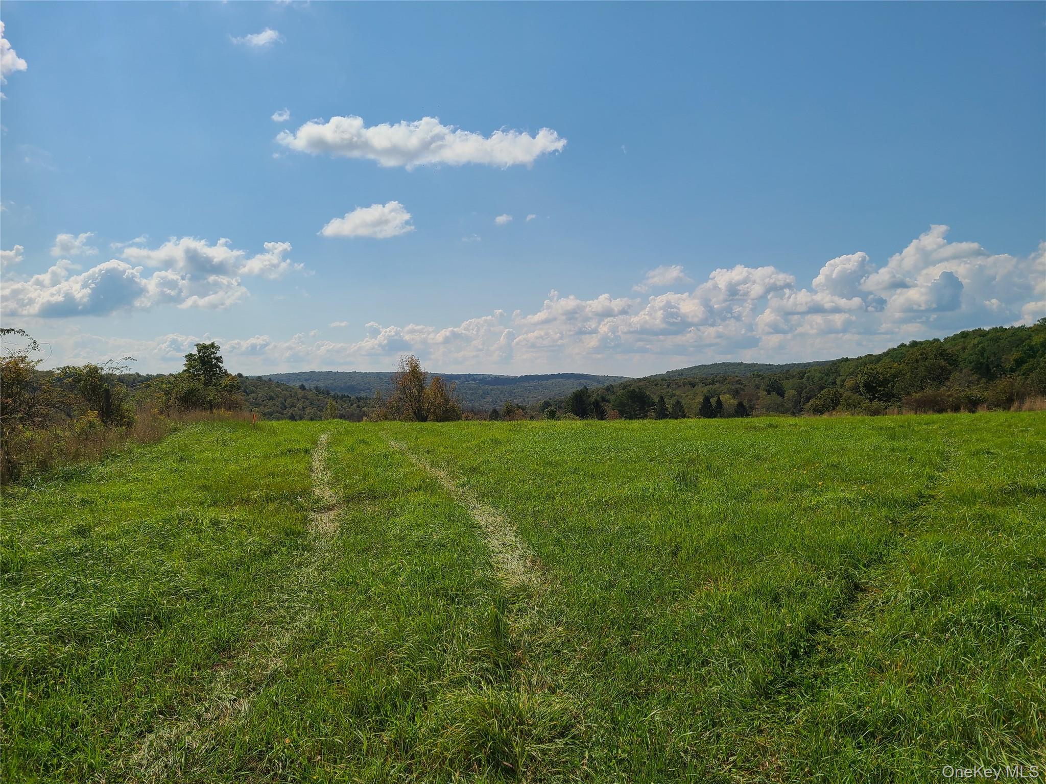 356 Gabel Road Callicoon, NY 12723 - Photo 20 of 49 View of mountain feature featuring a rural view