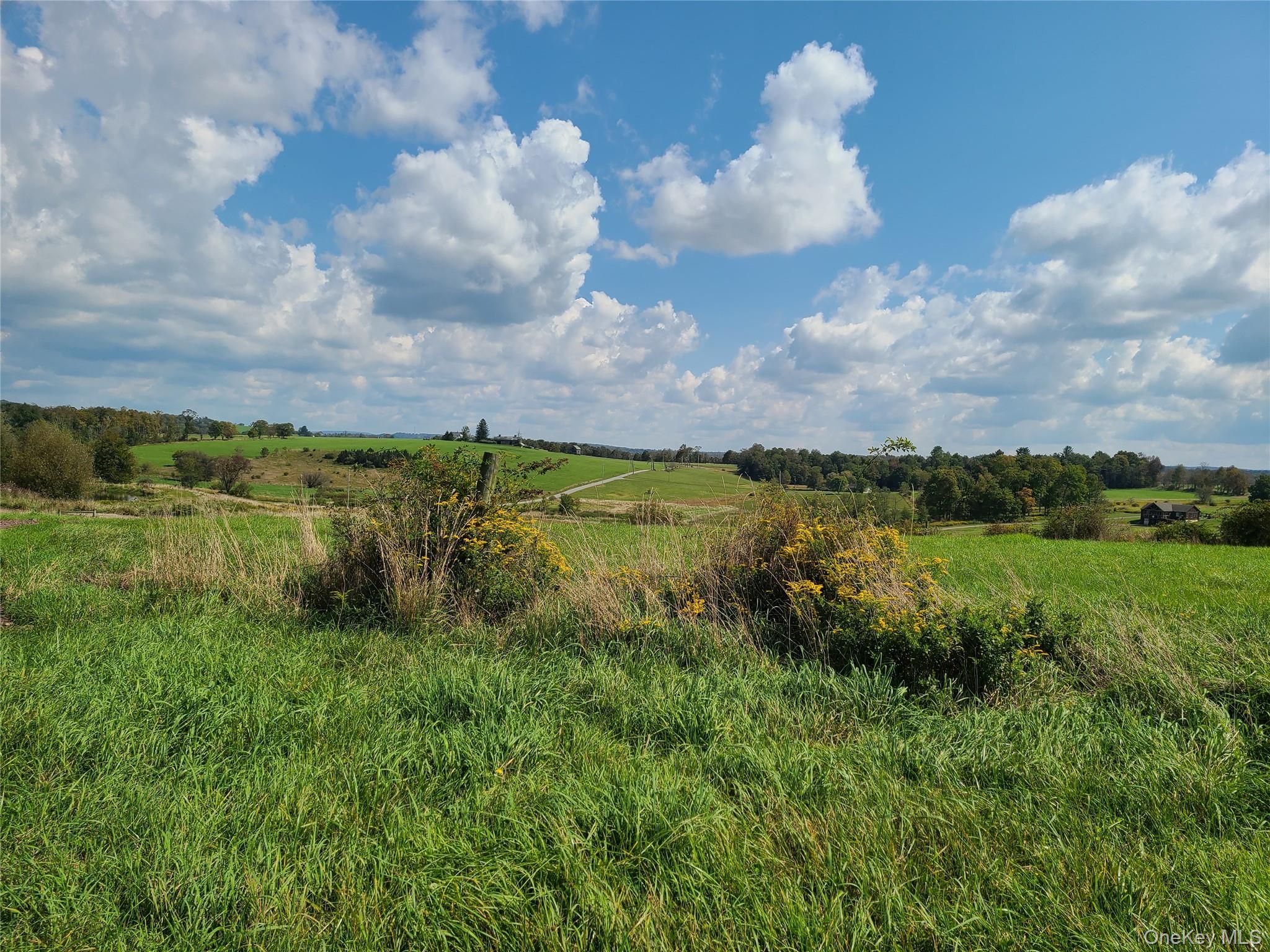 356 Gabel Road Callicoon, NY 12723 - Photo 21 of 49 View of nature featuring a rural view
