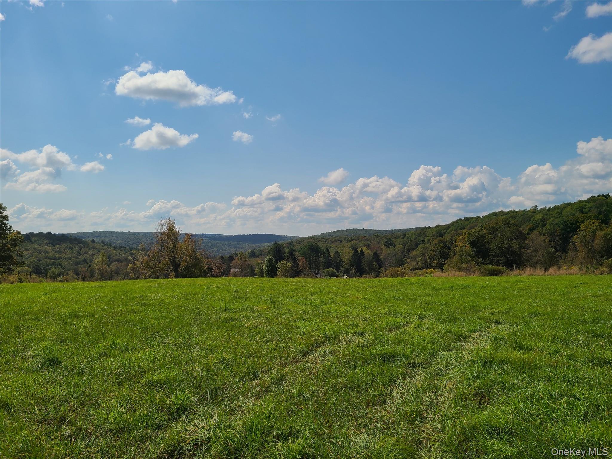 356 Gabel Road Callicoon, NY 12723 - Photo 22 of 49 Property view of mountains featuring a rural view