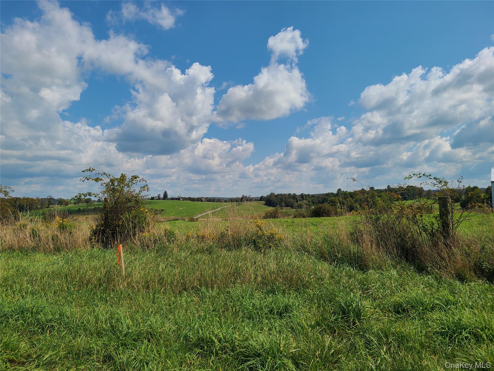356 Gabel Road Callicoon, NY 12723 - Photo 24 of 49 View of local wilderness featuring a rural view