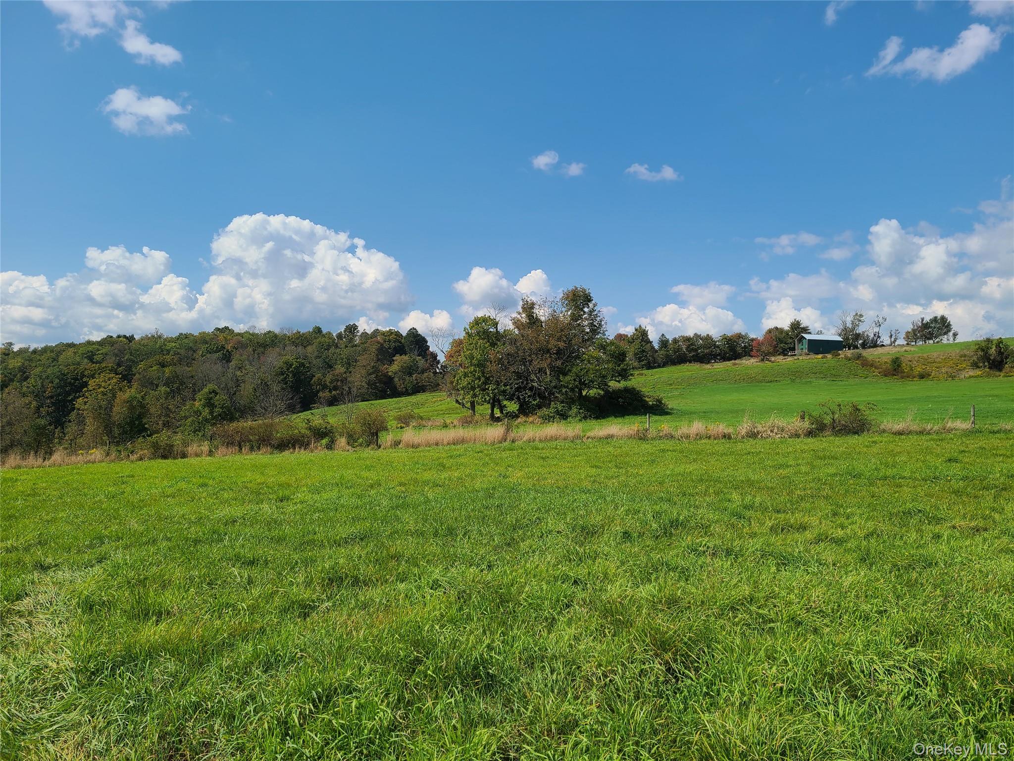 356 Gabel Road Callicoon, NY 12723 - Photo 25 of 49 View of landscape featuring a rural view