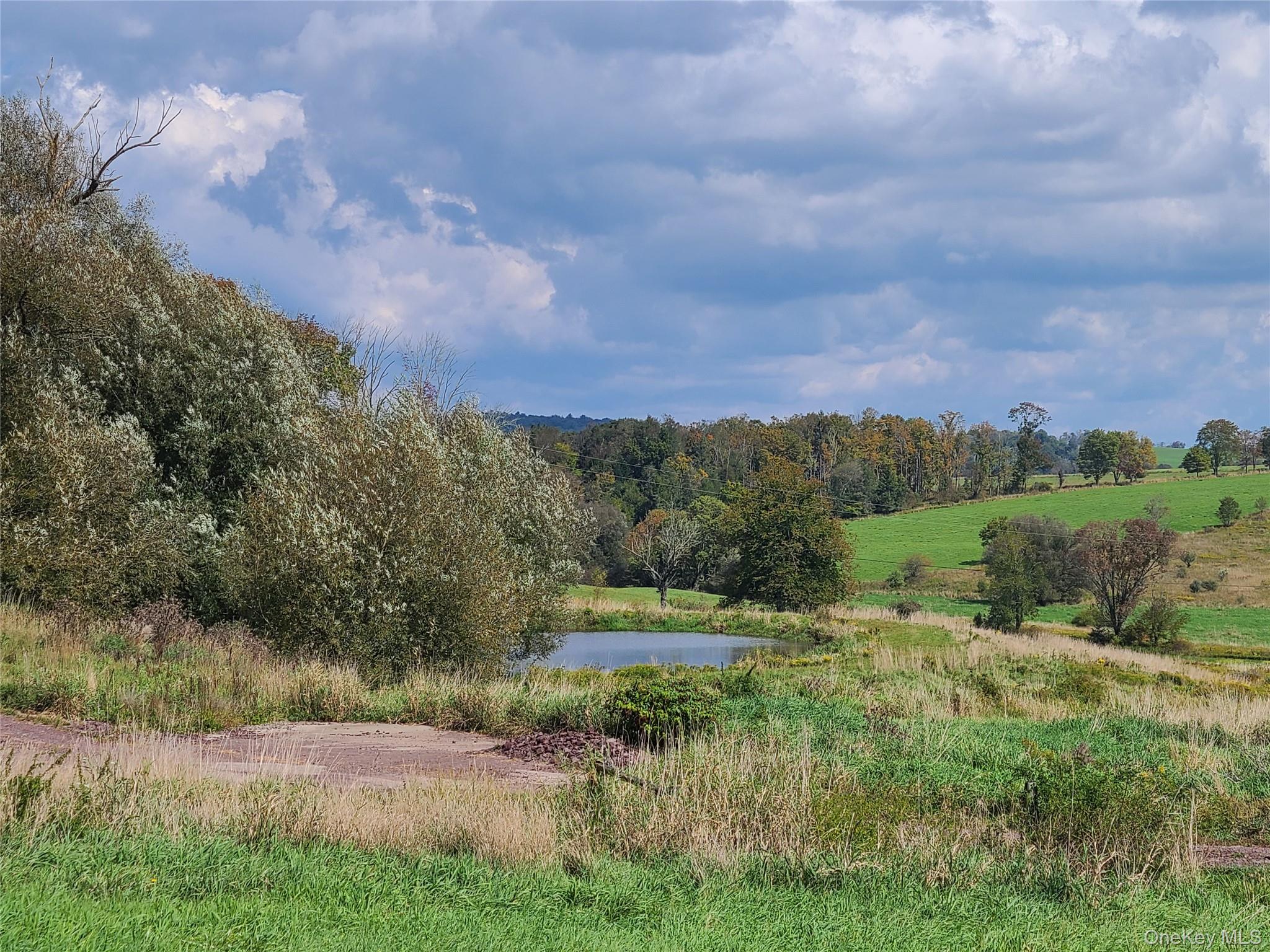 356 Gabel Road Callicoon, NY 12723 - Photo 26 of 49 View of local wilderness with a rural view and a water view