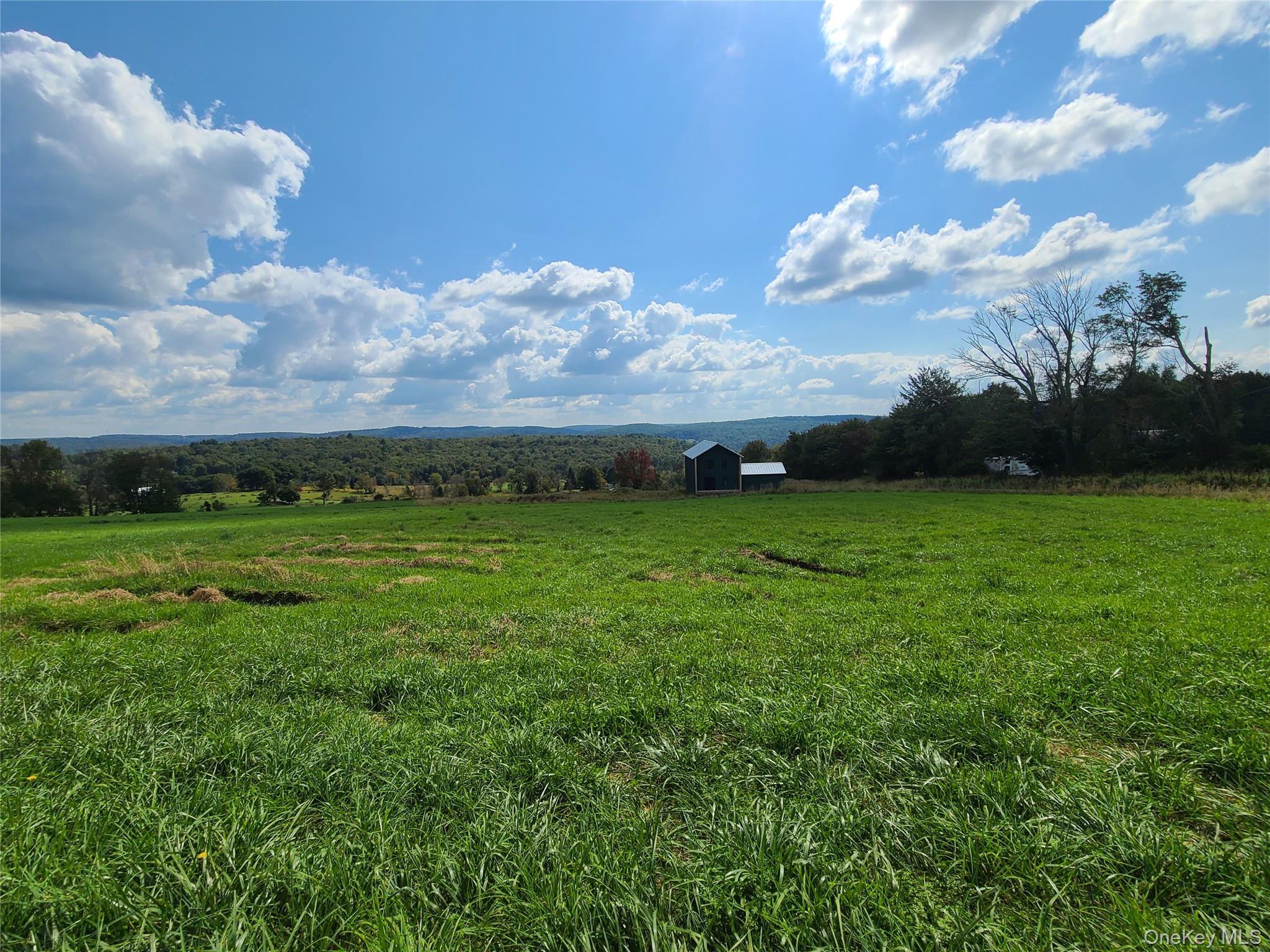356 Gabel Road Callicoon, NY 12723 - Photo 27 of 49 View of yard with a rural view