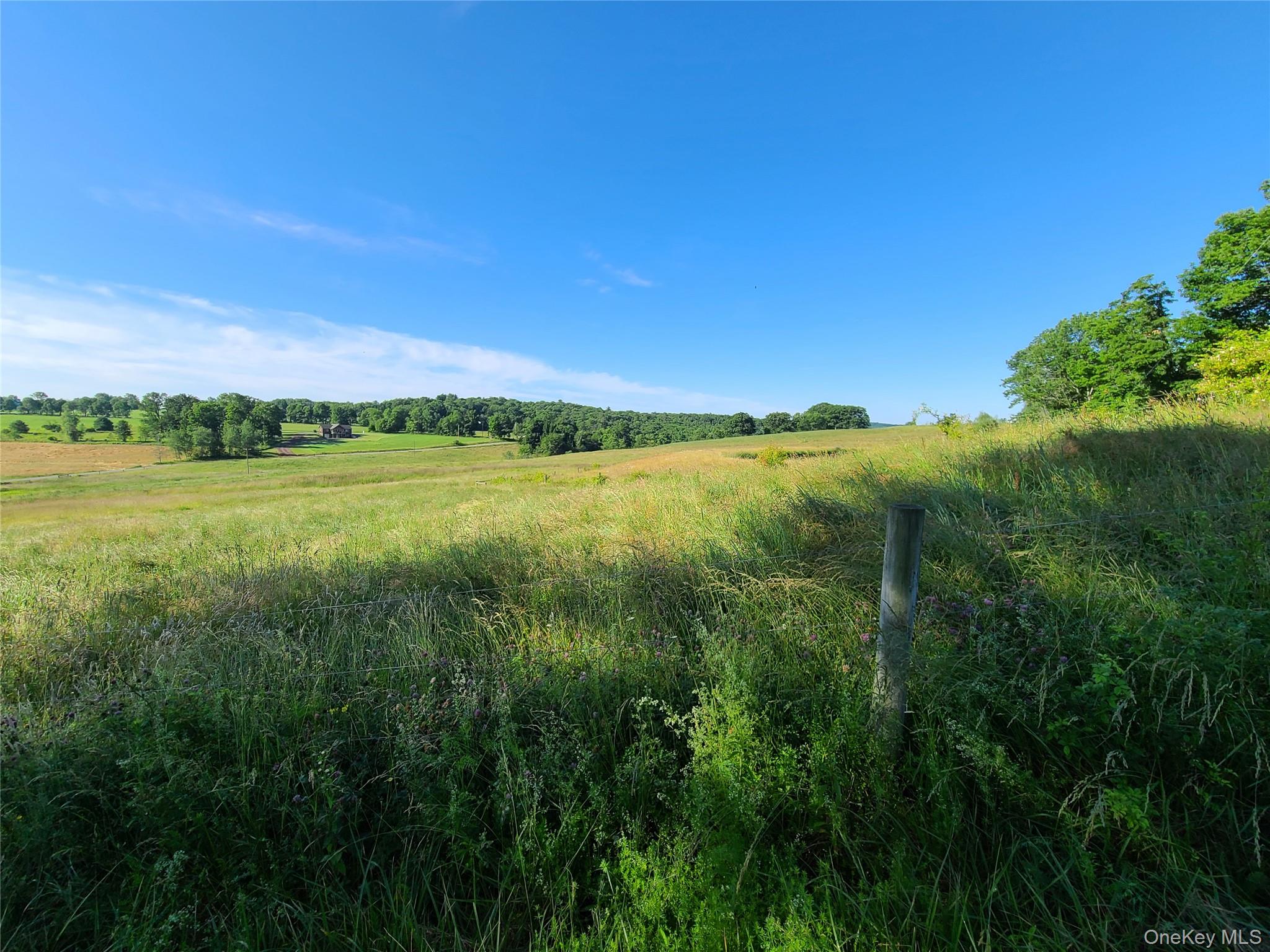 356 Gabel Road Callicoon, NY 12723 - Photo 28 of 49 View of nature with a rural view