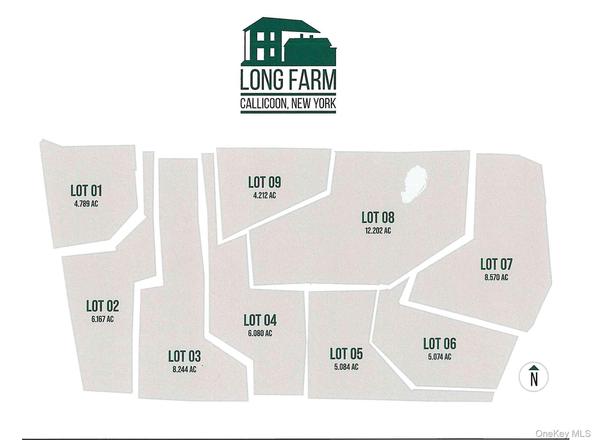 356 Gabel Road Callicoon, NY 12723 - Photo 3 of 49 Map