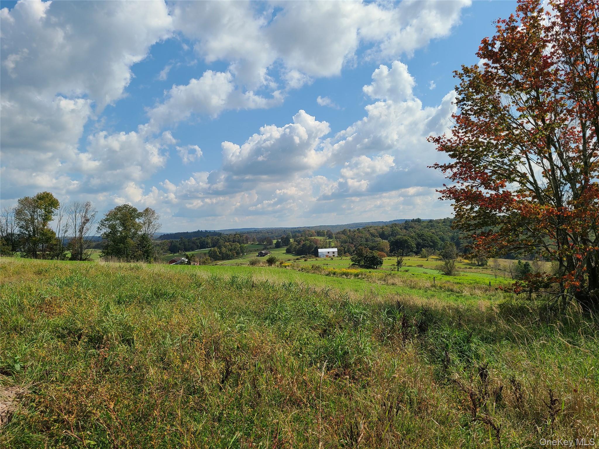 356 Gabel Road Callicoon, NY 12723 - Photo 41 of 49 Lovely lots, lovely location