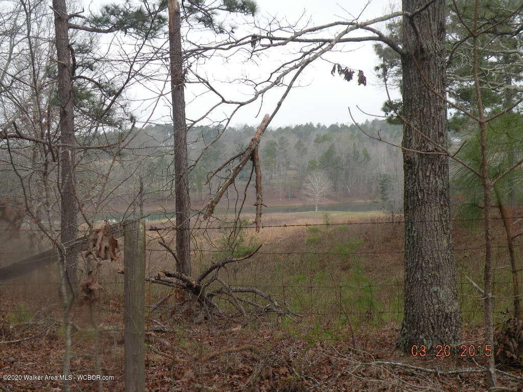 Old Pineywoods Road Jasper, AL 35504 - Photo 3 of 3 Gallery Image 3
