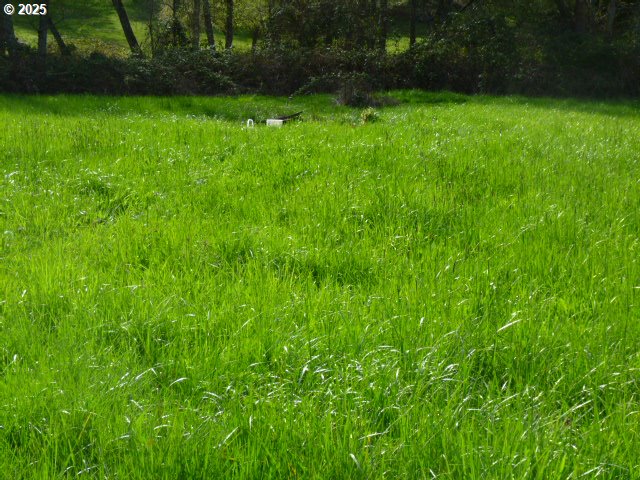 765 Tunnel Road Glendale, OR 97442 - Photo 12 of 17 a view of an outdoor space