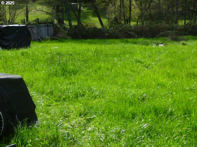 765 Tunnel Road Glendale, OR 97442 - Photo 13 of 17 a view of yard with green space