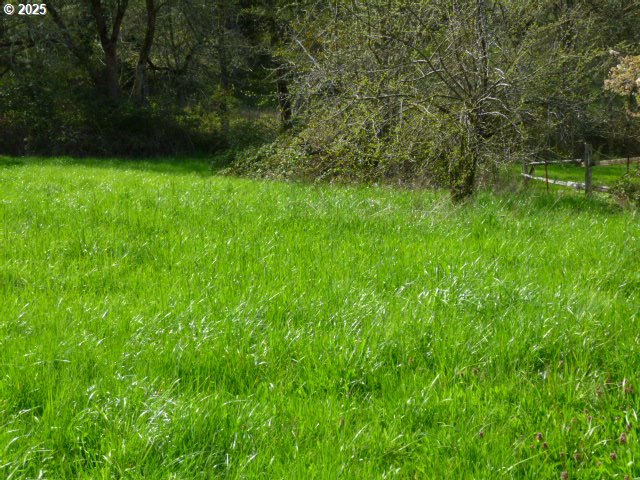 765 Tunnel Road Glendale, OR 97442 - Photo 14 of 17 a view of a yard