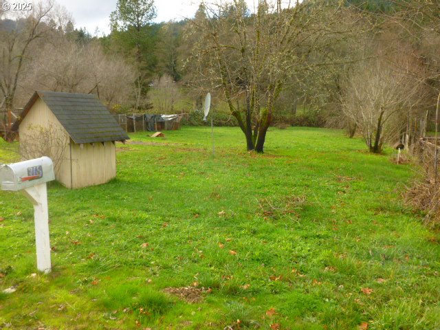 765 Tunnel Road Glendale, OR 97442 - Photo 17 of 17 a view of yard with green space