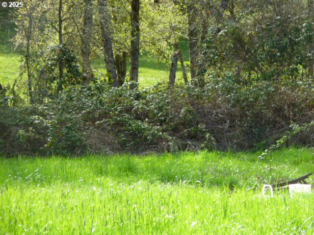765 Tunnel Road Glendale, OR 97442 - Photo 8 of 17 a view of yard from a backyard