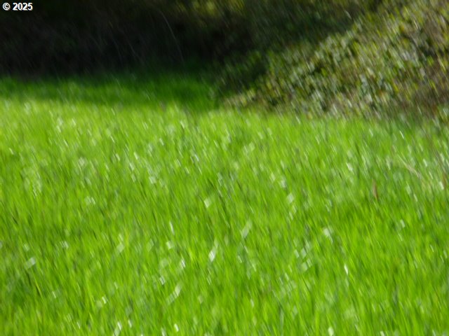 765 Tunnel Road Glendale, OR 97442 - Photo 9 of 17 a view of a lush green space