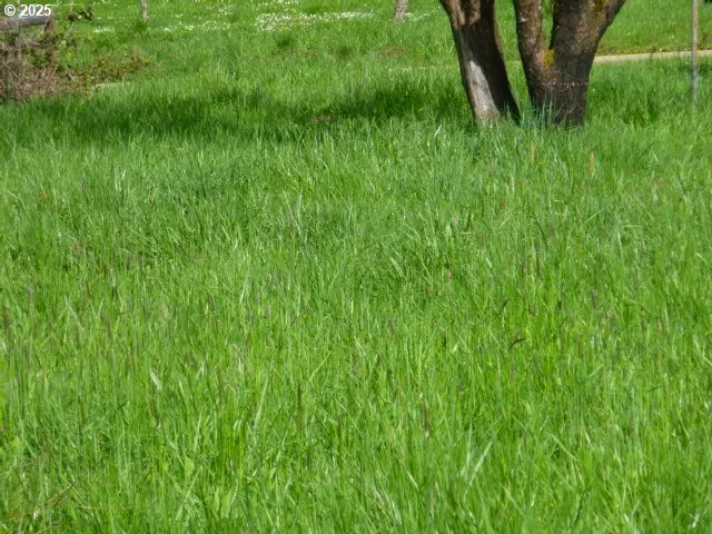 $110,000 | 765 Tunnel Road, Glendale, OR 97442