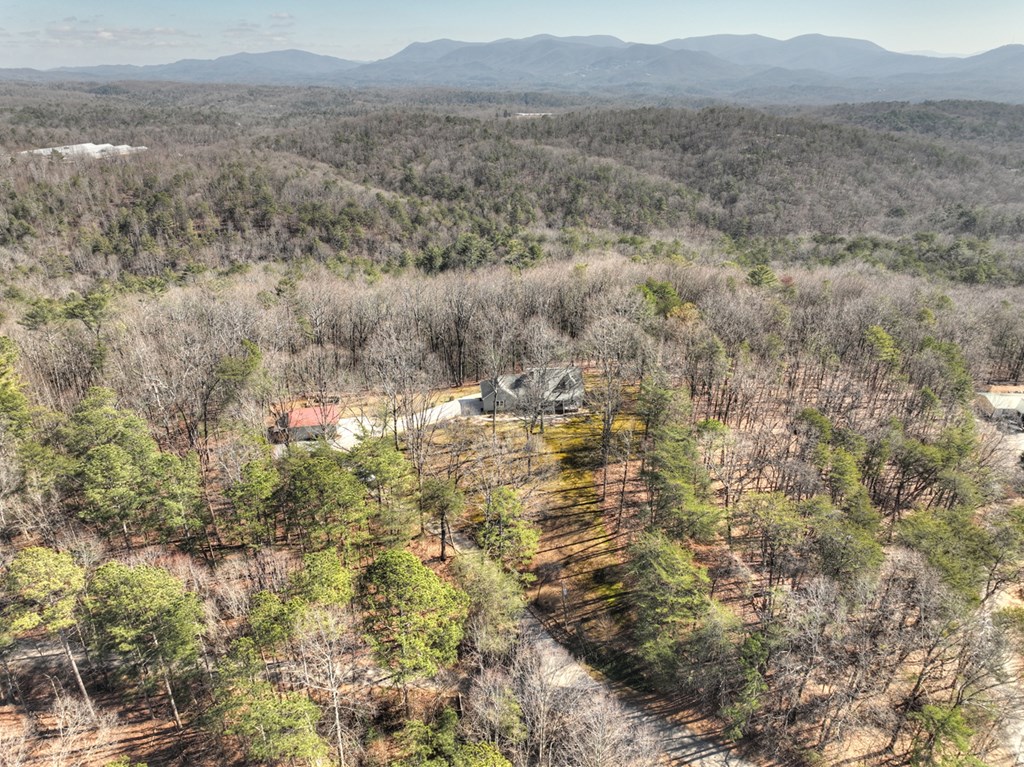 398 New Hope Road Ellijay, GA 30540 - Photo 67 of 70 Gallery Image 67