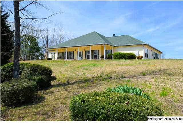 289 Rolling Hills Drive Springville, AL 35146 - Photo 2 of 31
