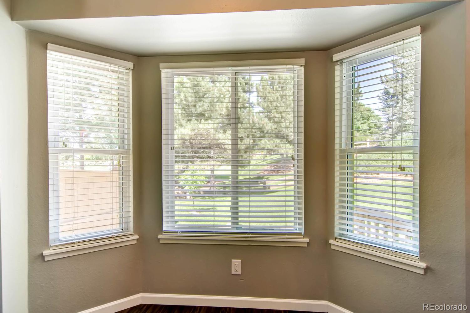 3 Jack Rabbit Place Highlands Ranch, CO 80126 - Photo 12 of 28 a view of a room with a large window