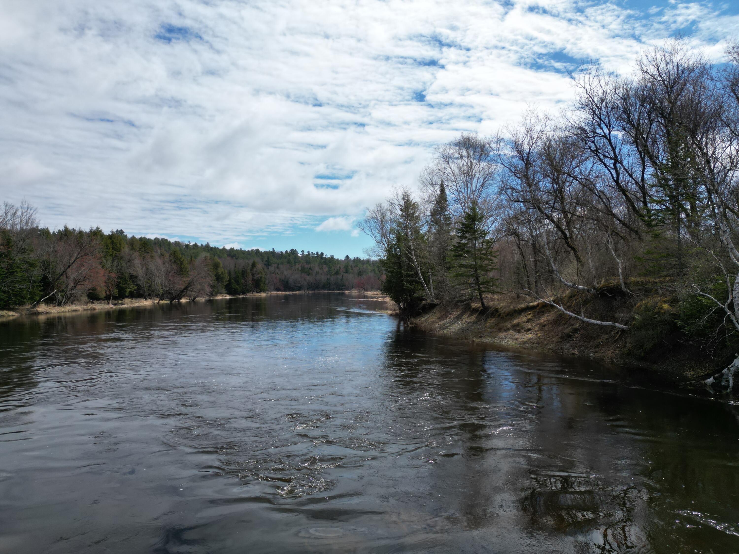 Lot 46 Merriman Rd Island Falls Island Falls, ME 04747 - Photo 2 of 16 DJI_0318
