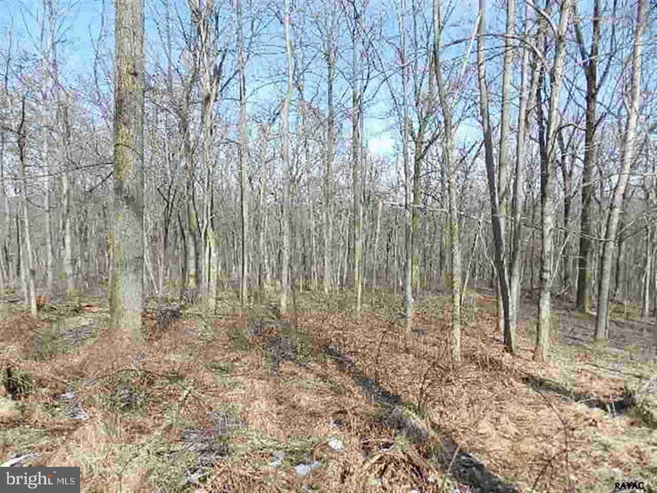 Lot 32 Crone Road Dover, PA 17315 - Photo 1 of 7