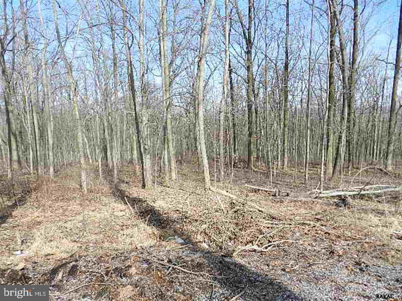 Lot 32 Crone Road Dover, PA 17315 - Photo 4 of 7