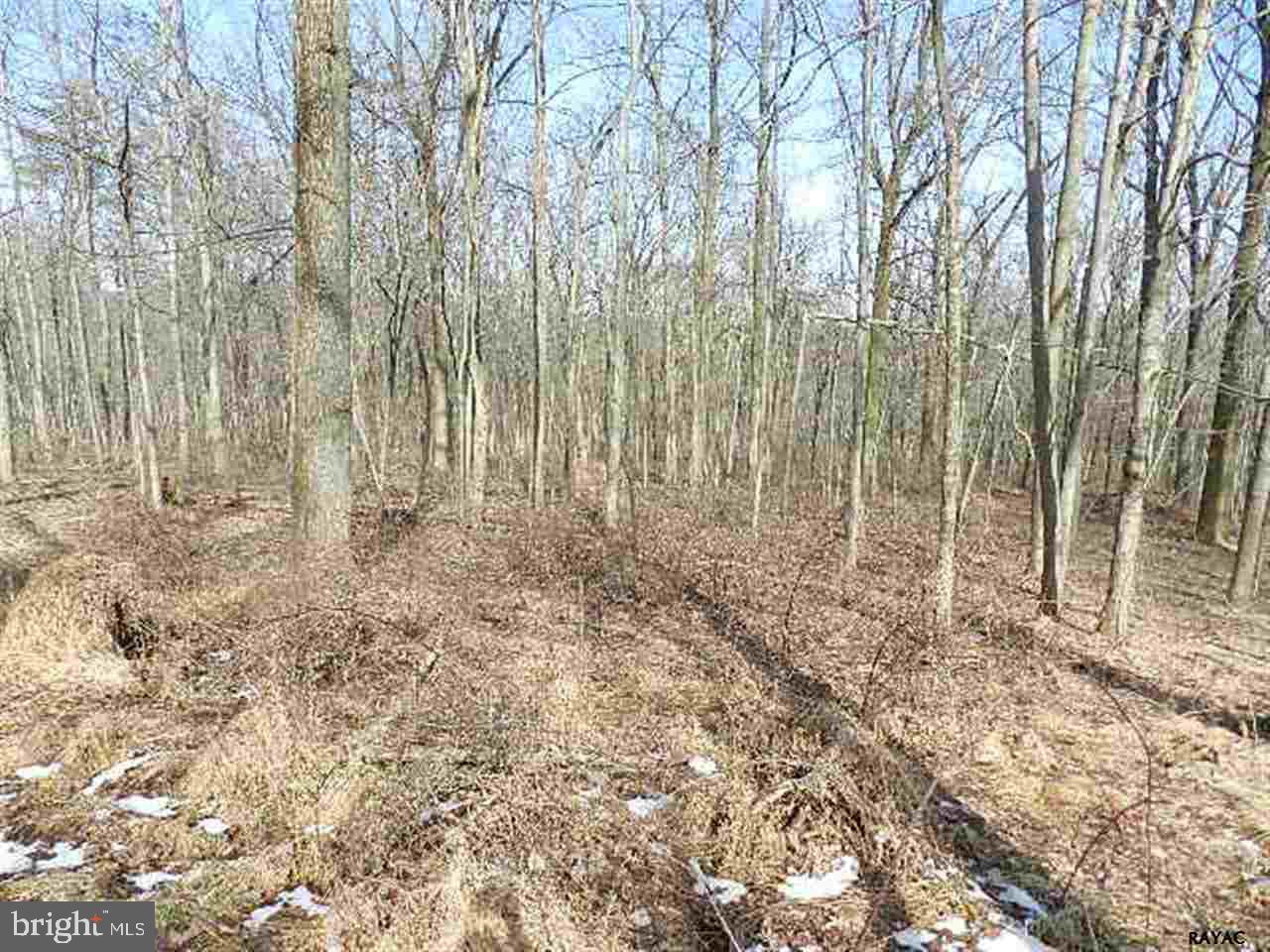 Lot 32 Crone Road Dover, PA 17315 - Photo 5 of 7