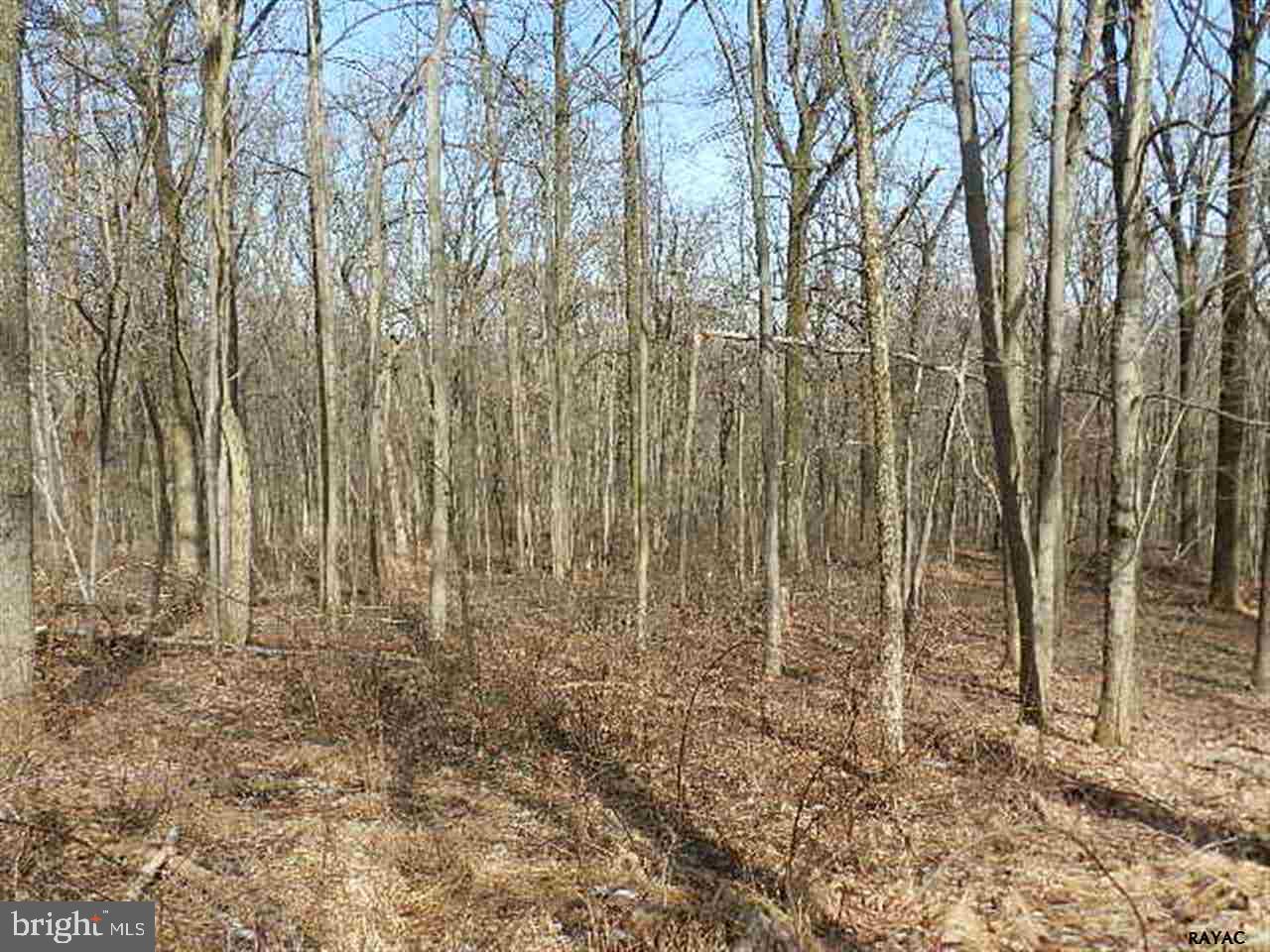 Lot 32 Crone Road Dover, PA 17315 - Photo 6 of 7