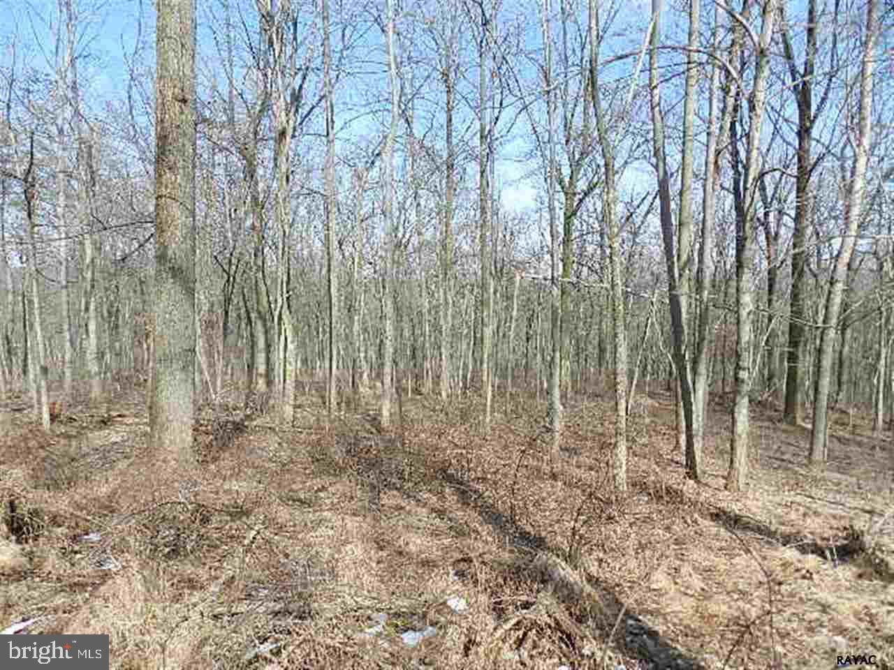 Lot 32 Crone Road Dover, PA 17315 - Photo 7 of 7