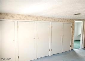 316 Cedar Street Pioche, NV 89043 - Photo 13 of 15 View of closet
