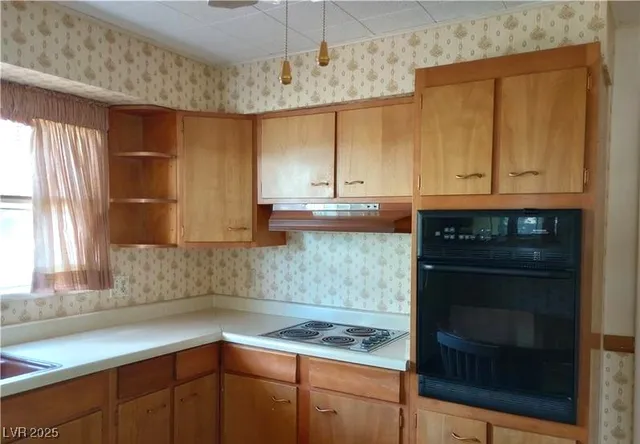 $225,000 | 316 Cedar Street, Pioche, NV 89043