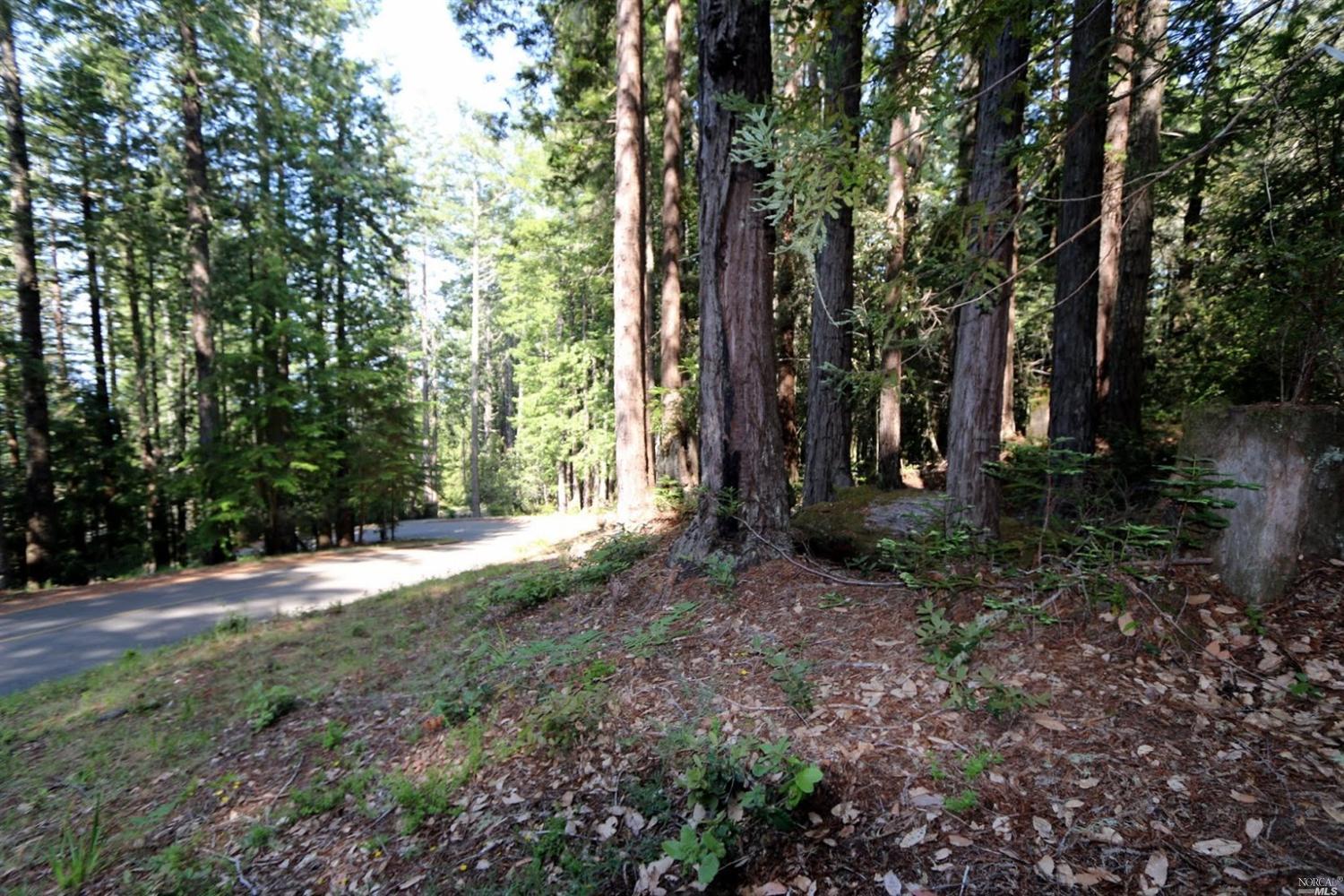 a view of outdoor space and yard