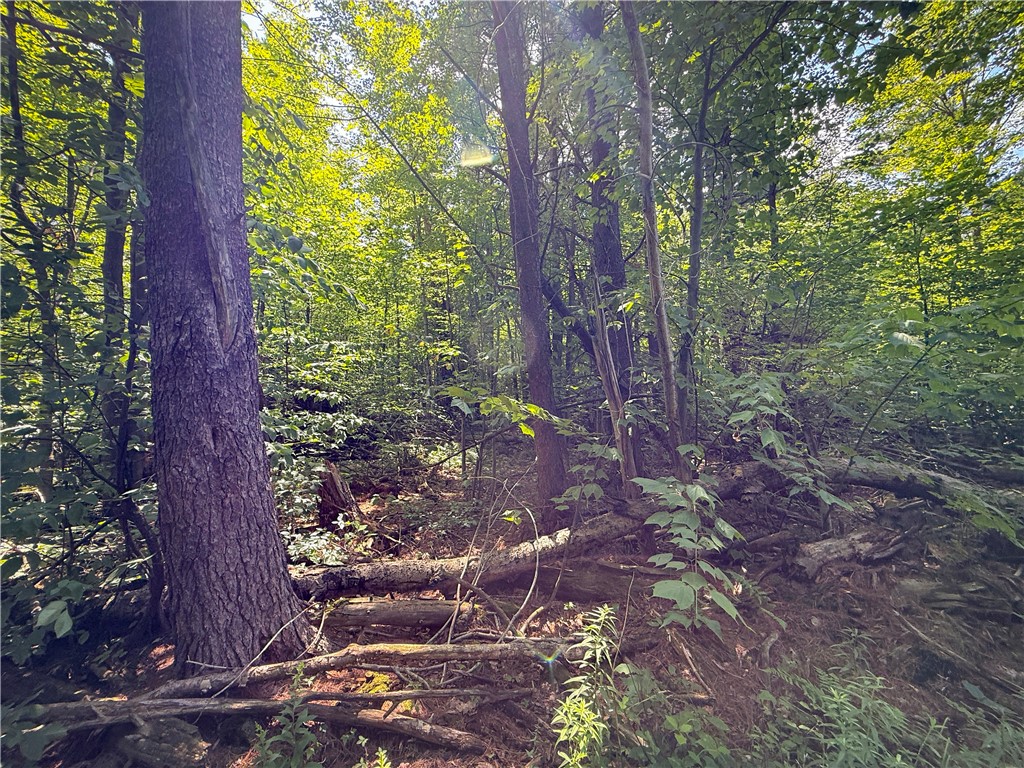 2512 Dunn Road Italy, NY 14418 - Photo 25 of 49 Gallery Image 25