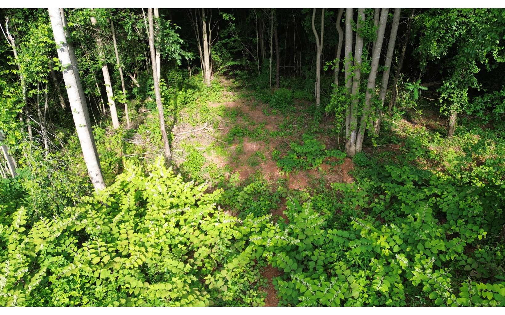 1.2-lot Cole Road Copperhill, TN 37317 - Photo 18 of 37 Additional View