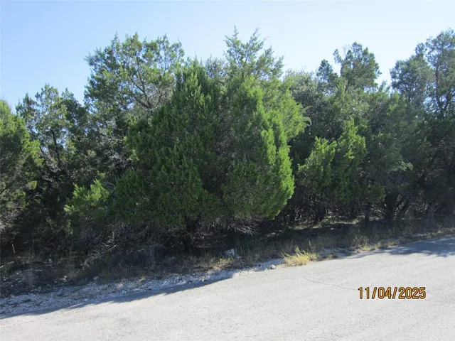 a view of a yard with a tree