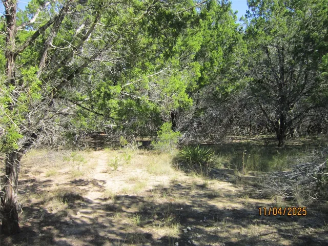 a view of a lake with a tree
