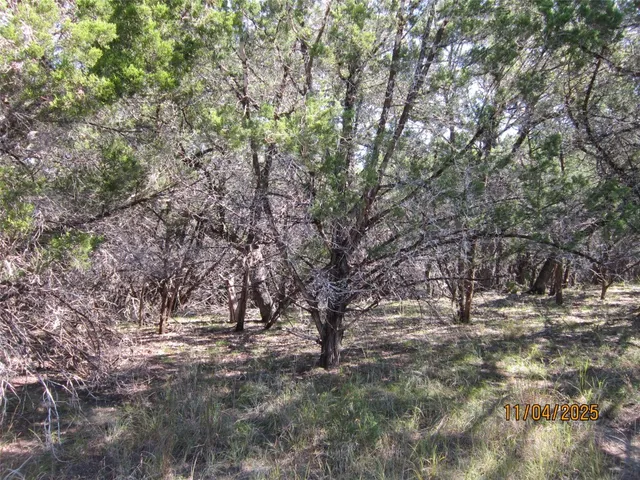 a view of outdoor space with trees