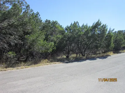 a view of a yard with a tree
